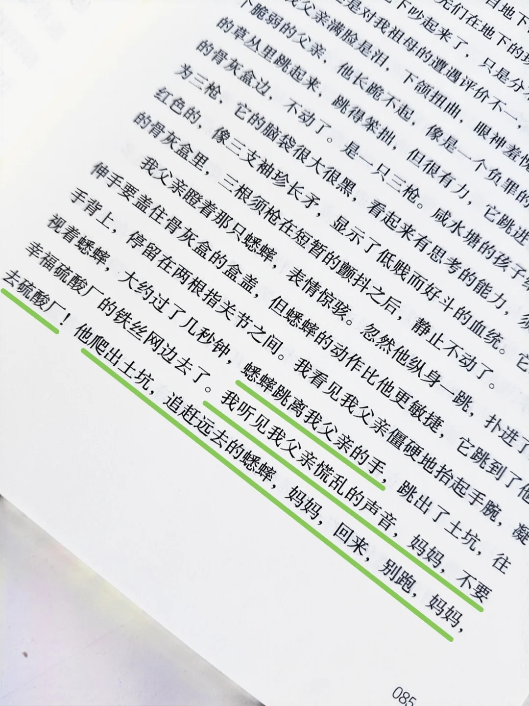 苏童，你真是个天才！文字的天才！