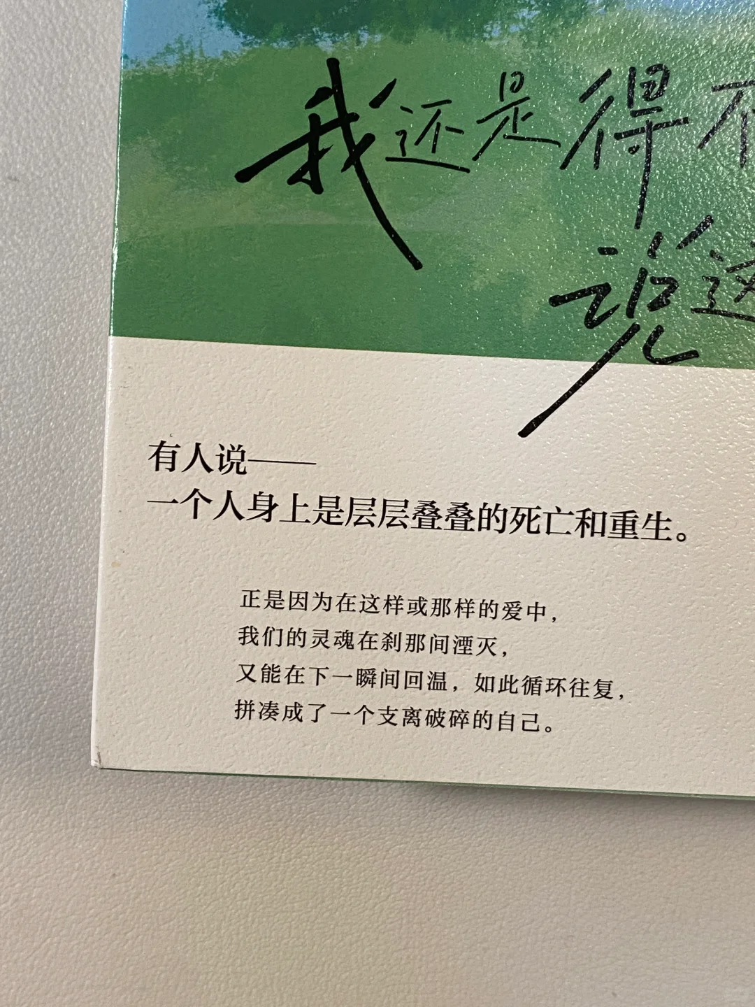 读哭了！文笔好绝，这本书每一页都是催泪弹