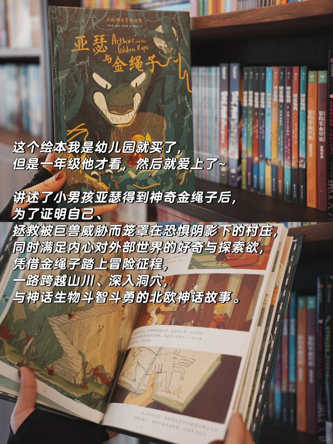 总结一年级小学生最爱看的书 | 合集