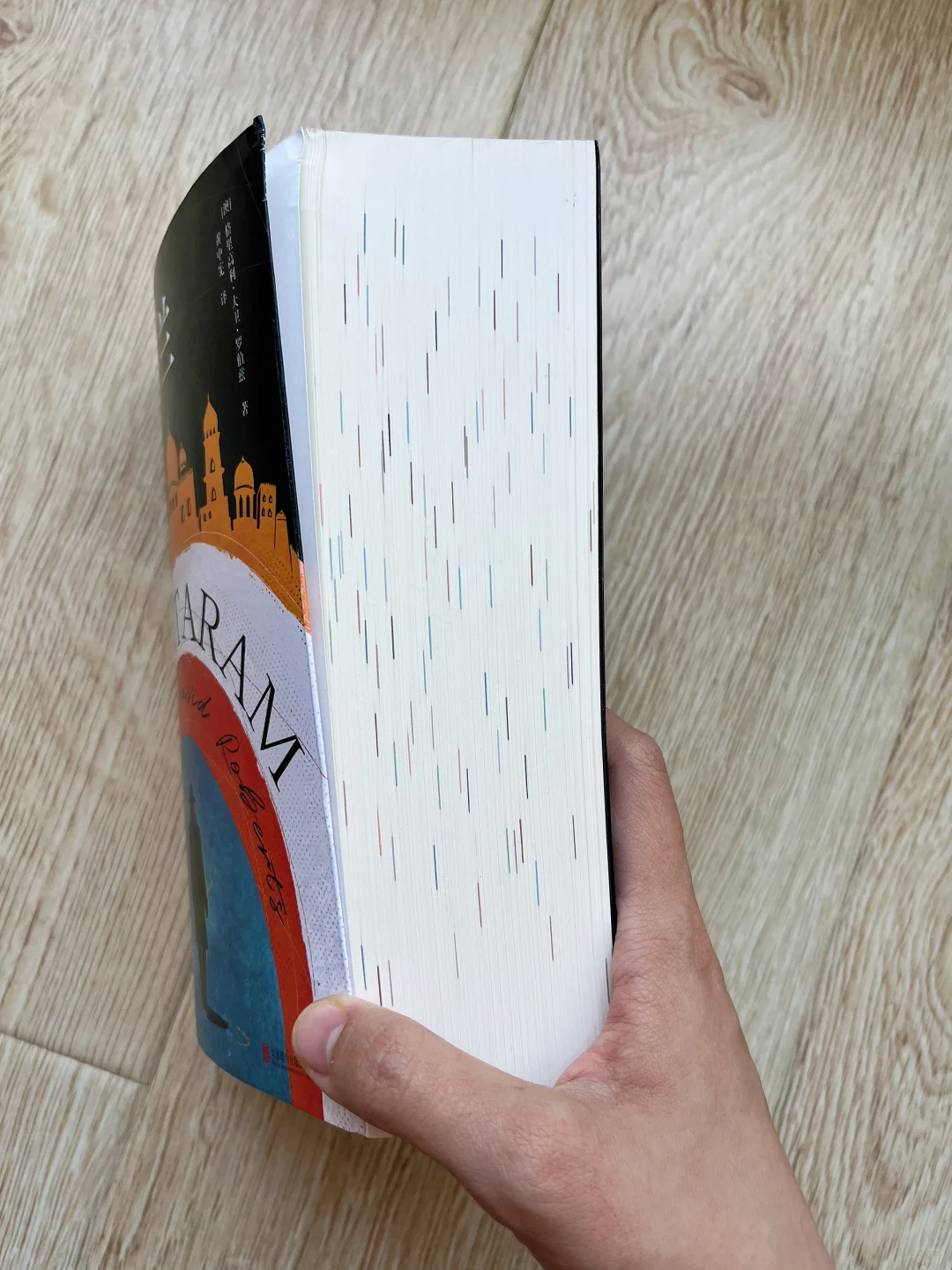 2025年第二本大部头|花了5天时间读完