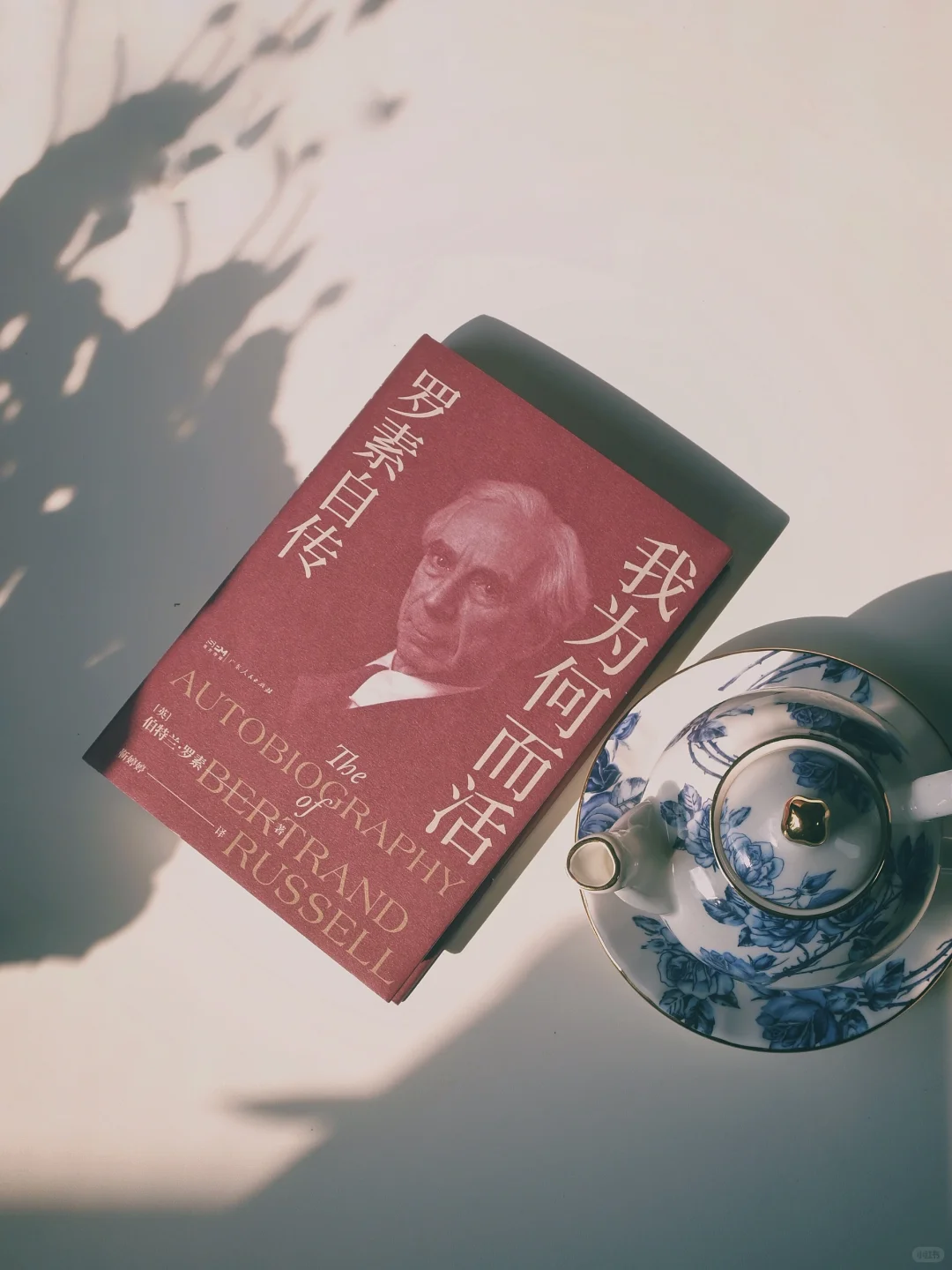 新书开箱｜七本新书就是七种惊喜和快乐