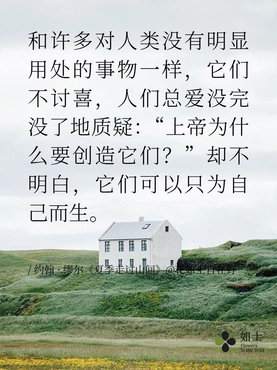 （福利）4本书带你逃往山野🌲 | 自然文学