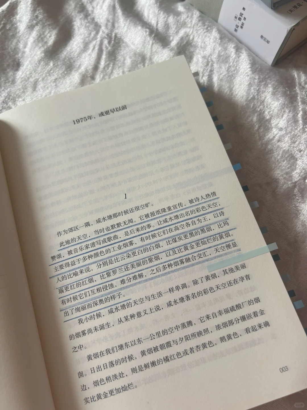 ◻️好天气：这是温情，也是敬意