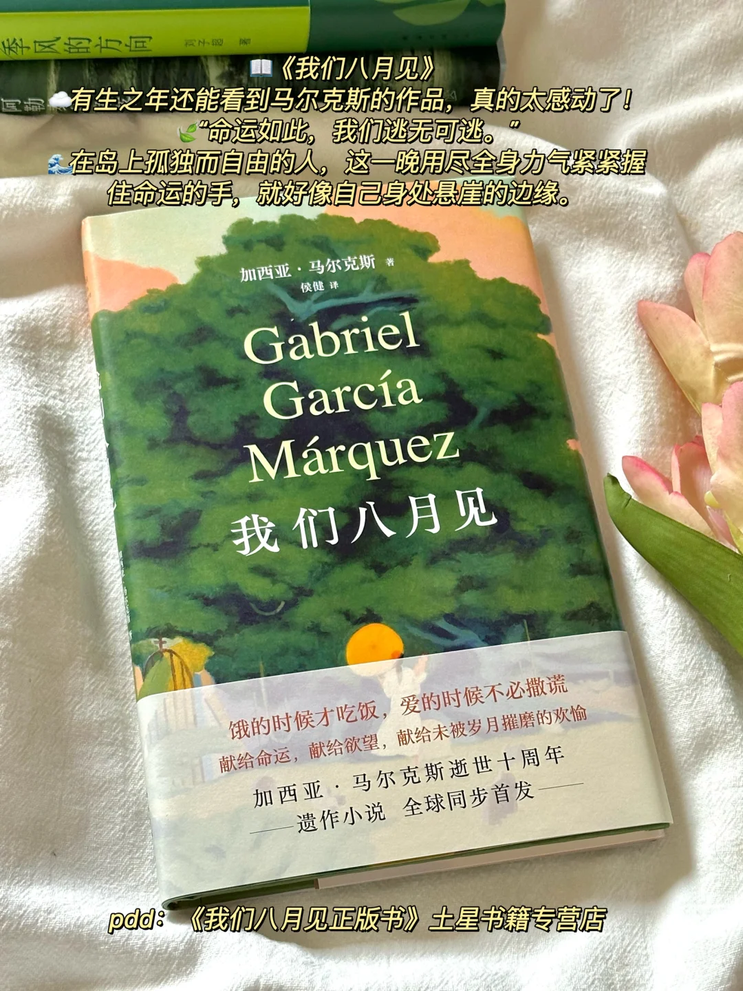 夏日清凉治愈书单🌿每一本我都好爱啊！！