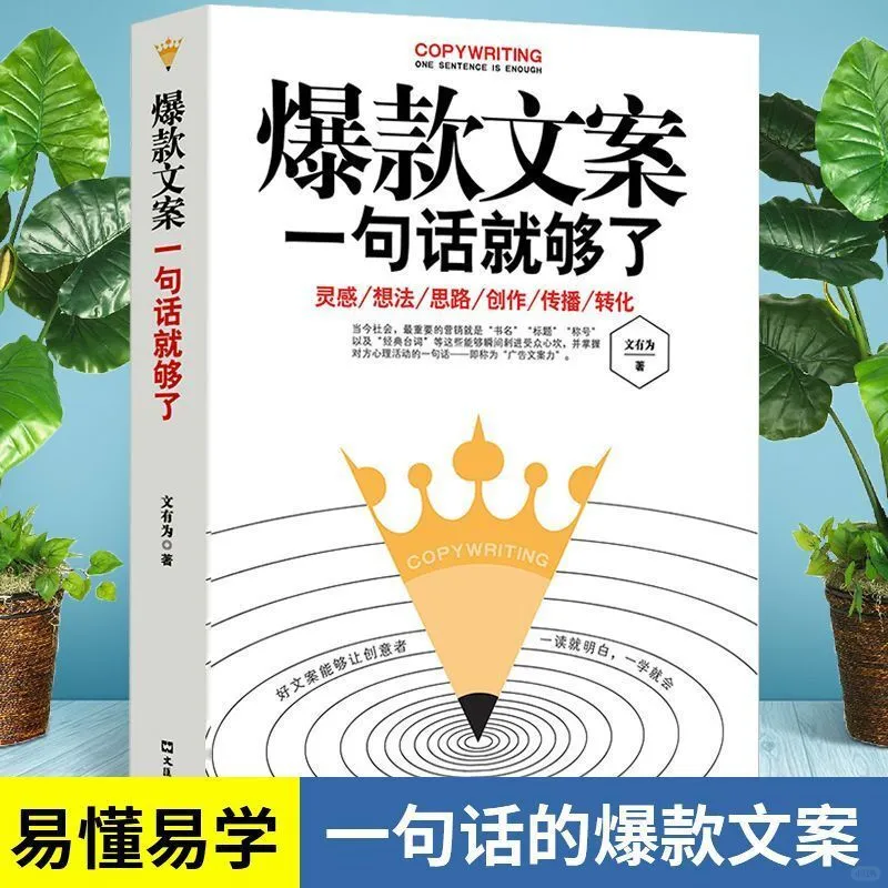 《爆款文案一句话就够了》：文案逆袭秘籍