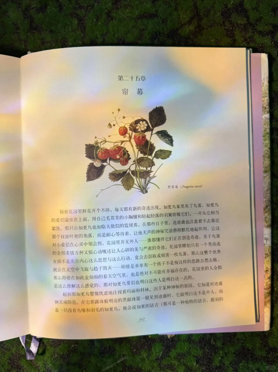 名著名译名绘特装刷边版！儿童文学天花板！