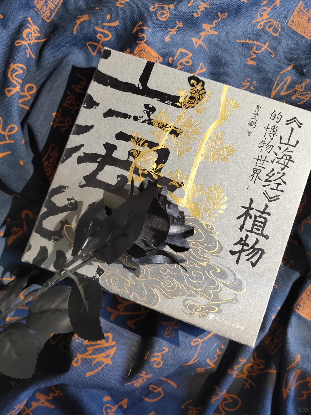 奇幻创作人必看！这本书直接让我脑洞炸裂💥
