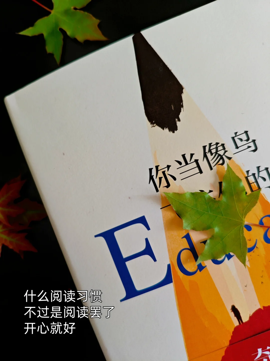 你蕞近在看什么书📖