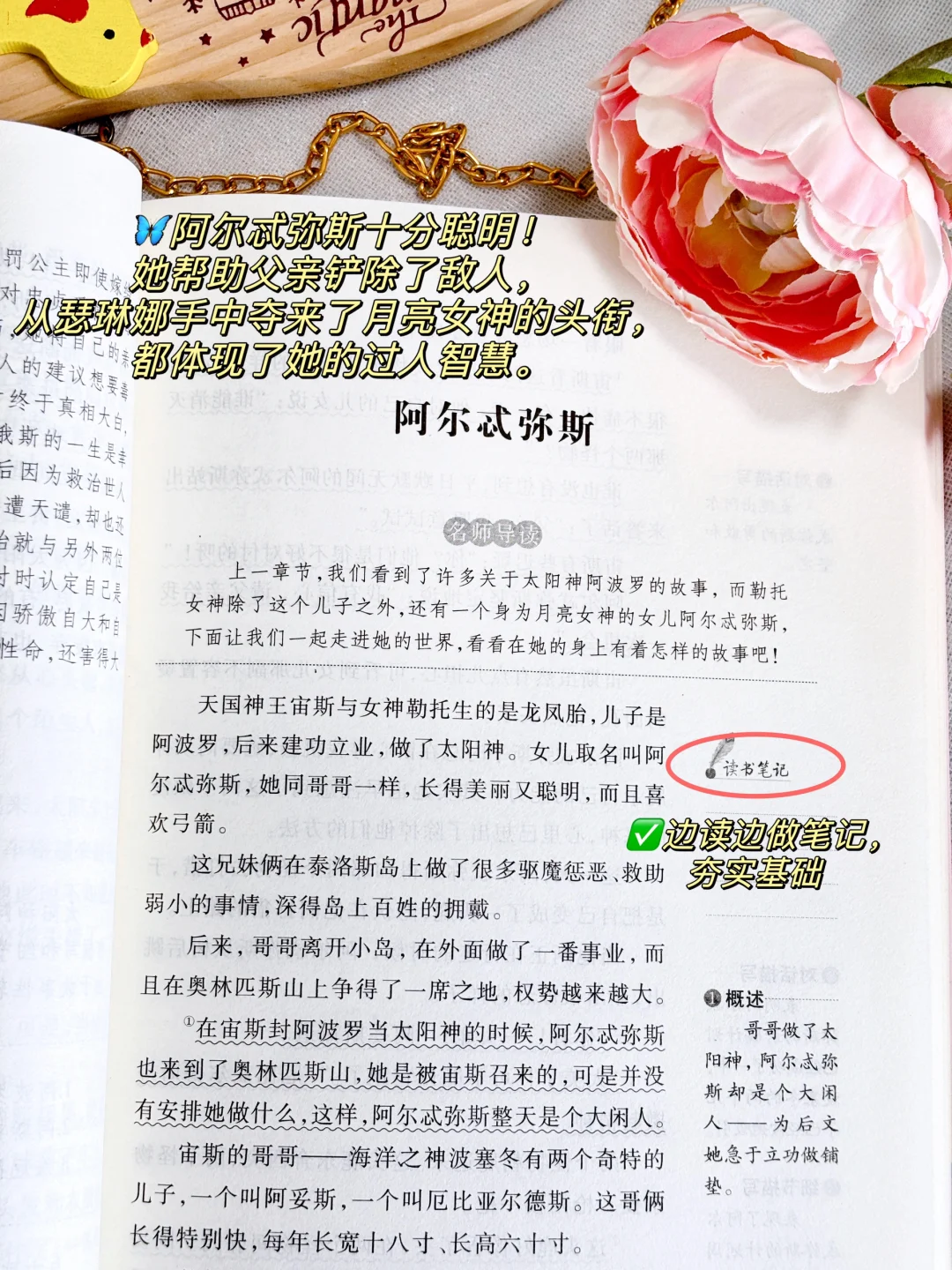 听语文老师的‼️四年级上册指定阅读书
