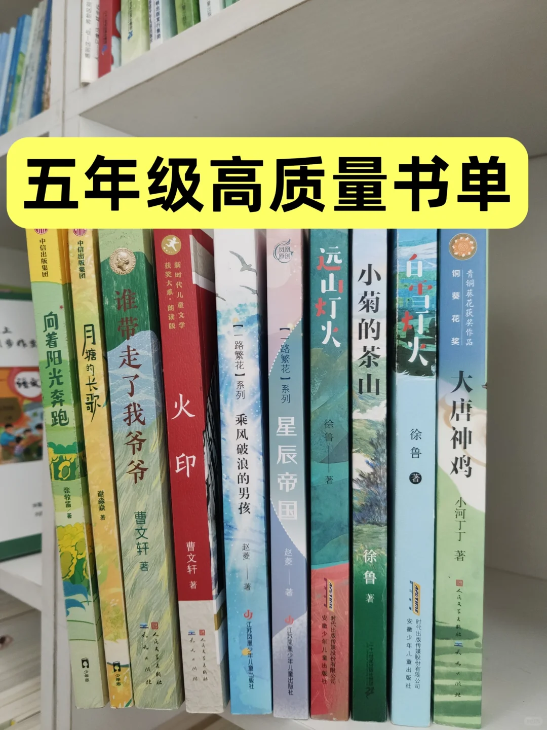 重磅推荐五年级翻看率超高的书，提阅读写作