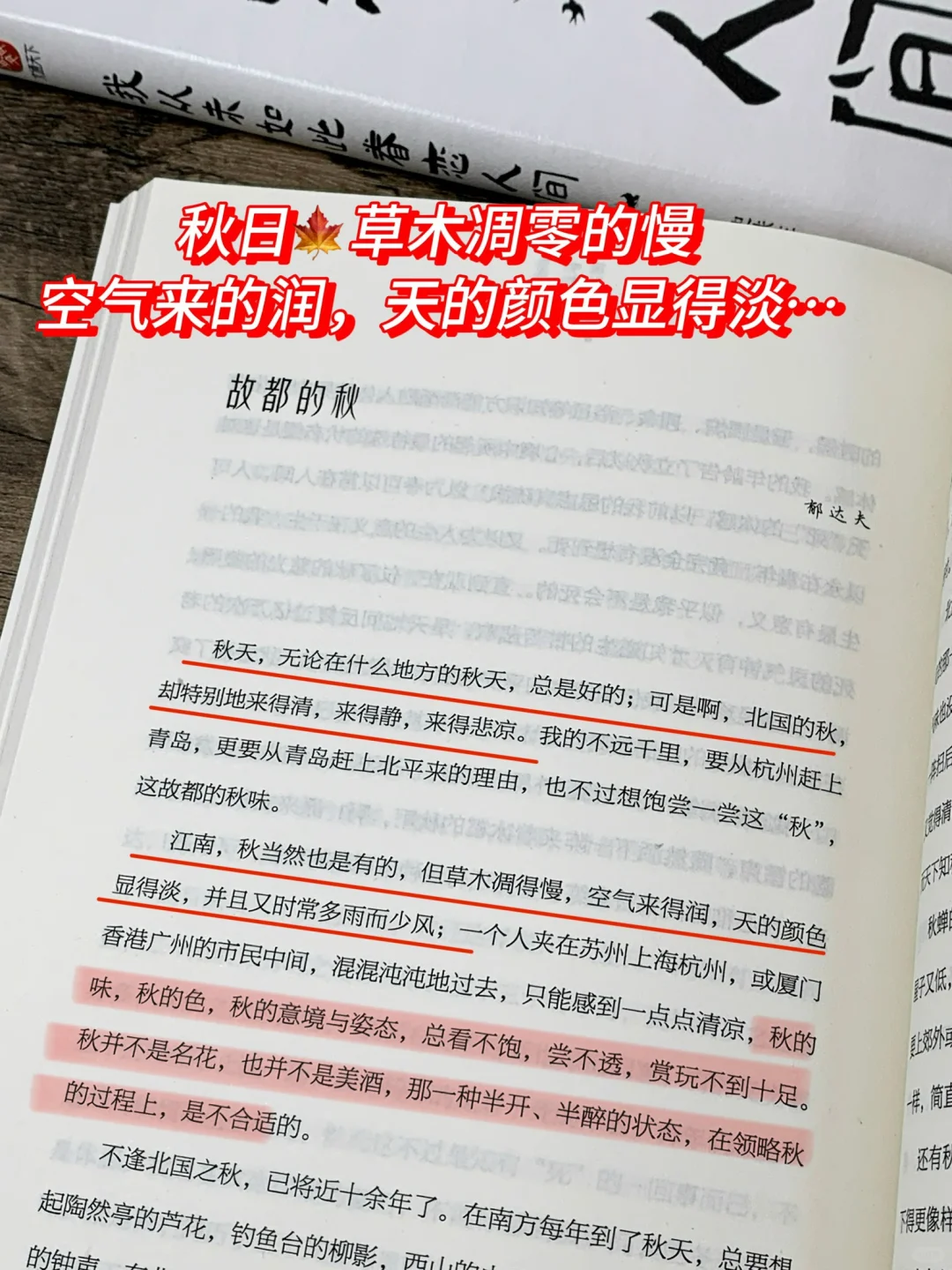 啊啊啊后劲真的太大了!!看完狠狠爱上这人间