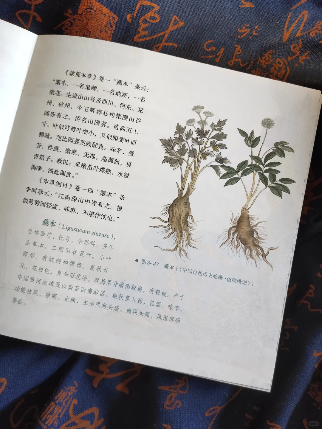 奇幻创作人必看！这本书直接让我脑洞炸裂💥