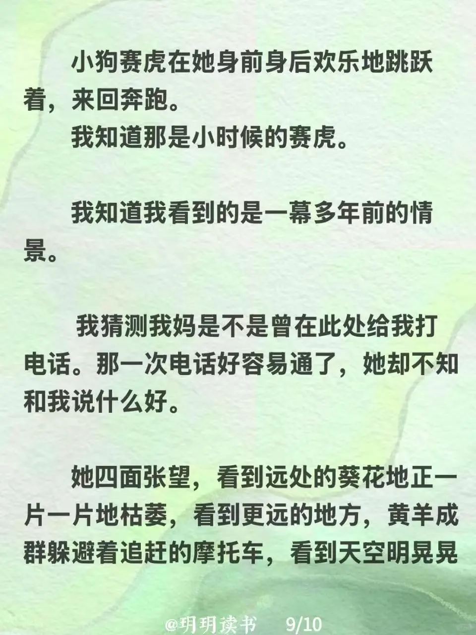 读书｜李娟《大地》