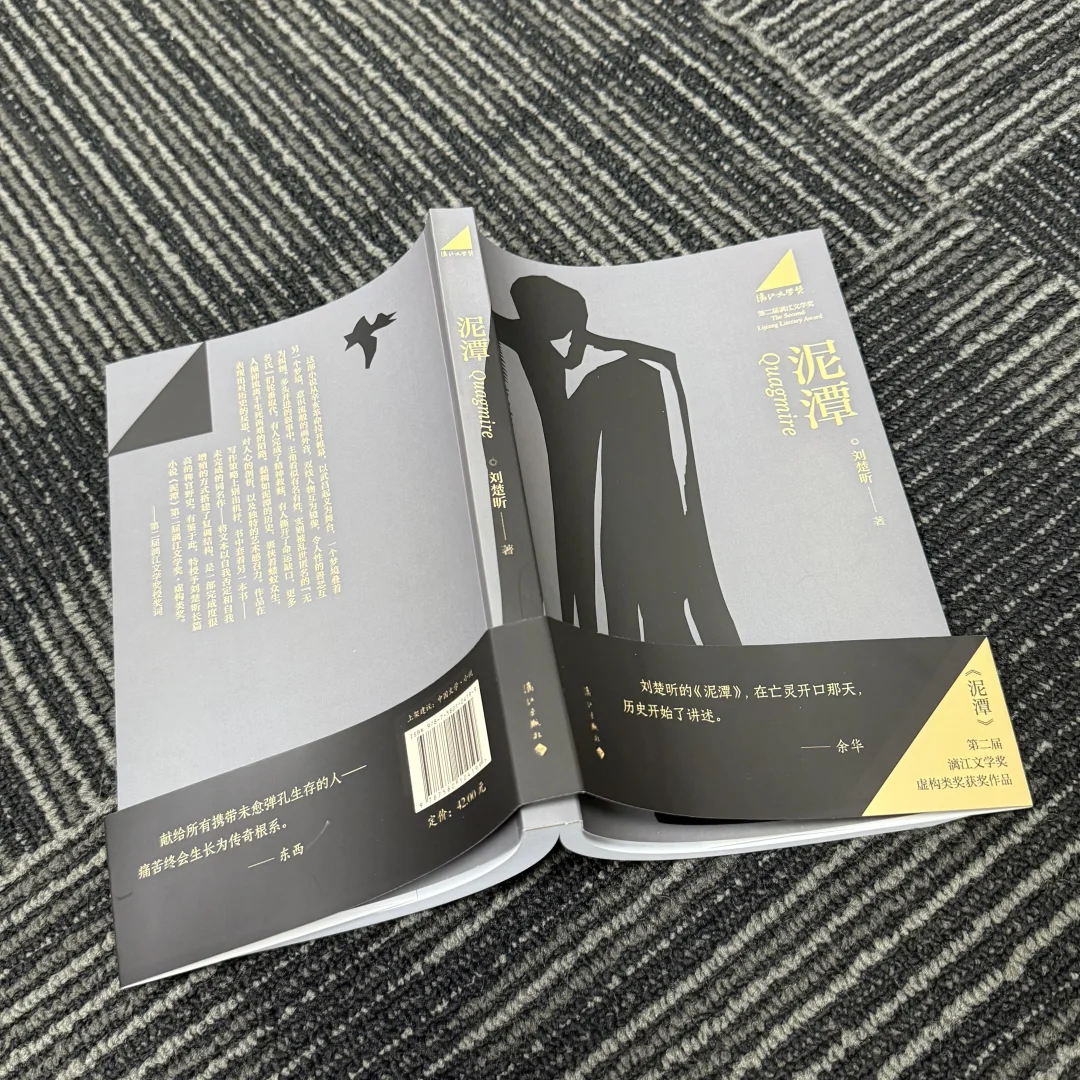 刘楚昕新书《泥潭》已经开启预售