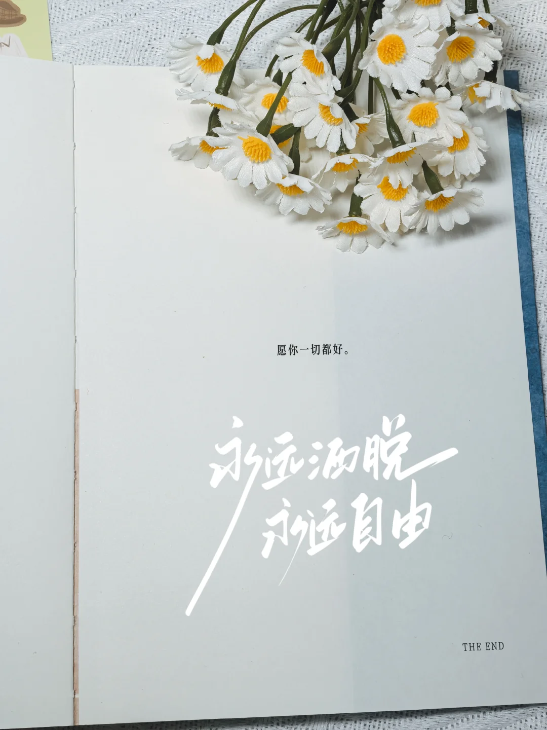 ✨安利小齐的《喂，你好吗》