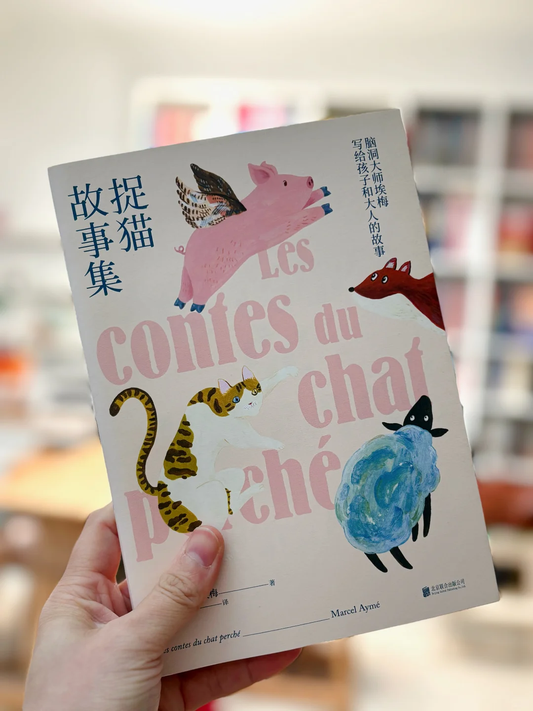 给二三年级精挑细选的儿童文学书单📚