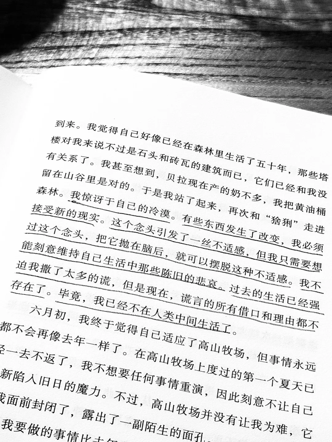 真好看啊，真好看。
