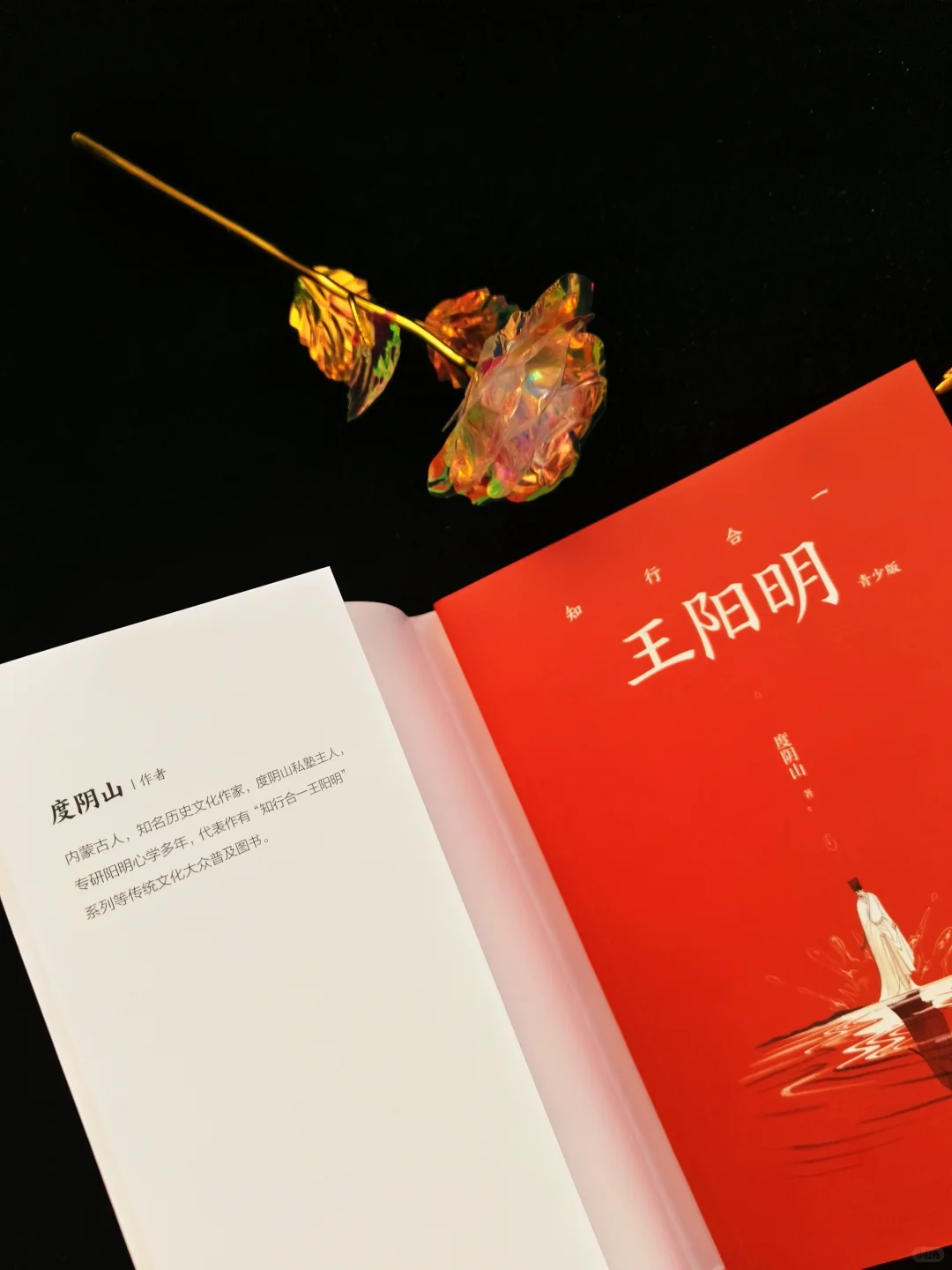 暑假孩子必读书💟知行合一王阳明青少版