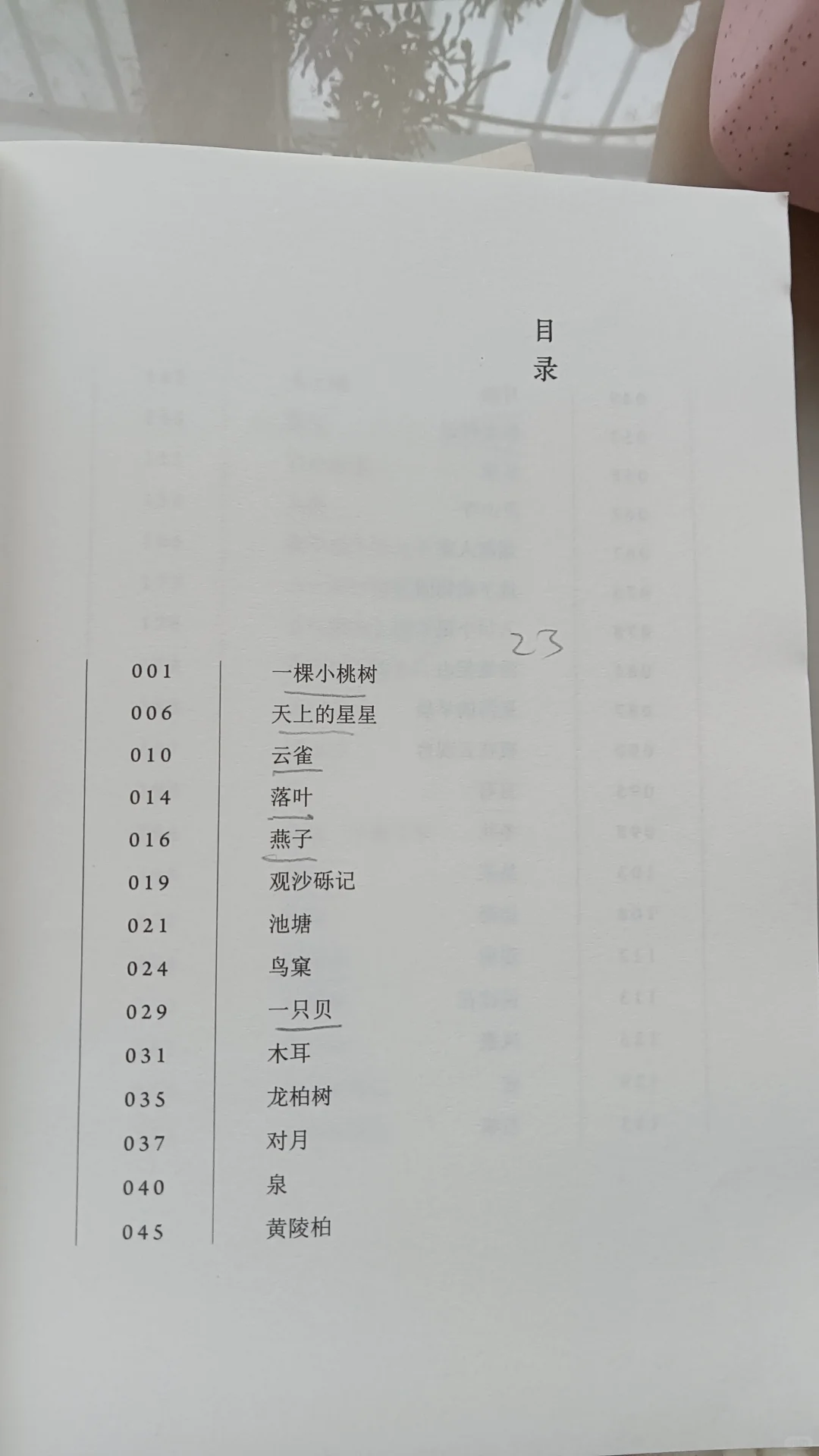 55岁一个人｜我越来越偏爱散文，你呢？