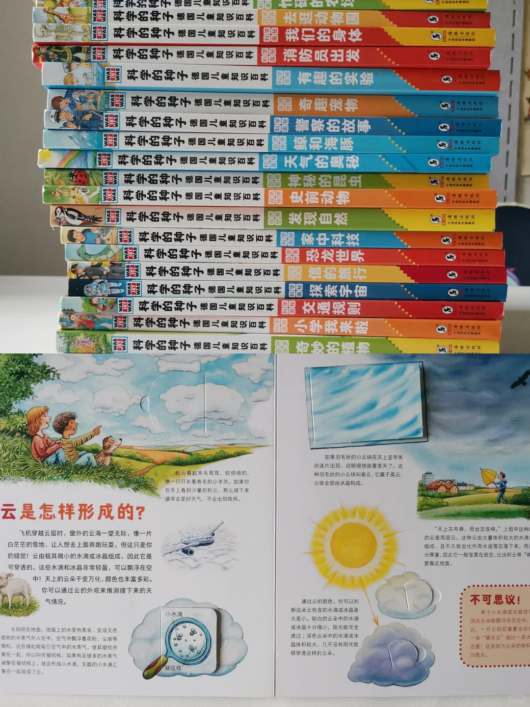 鑫鑫自主阅读过渡期——6岁大班书单分享