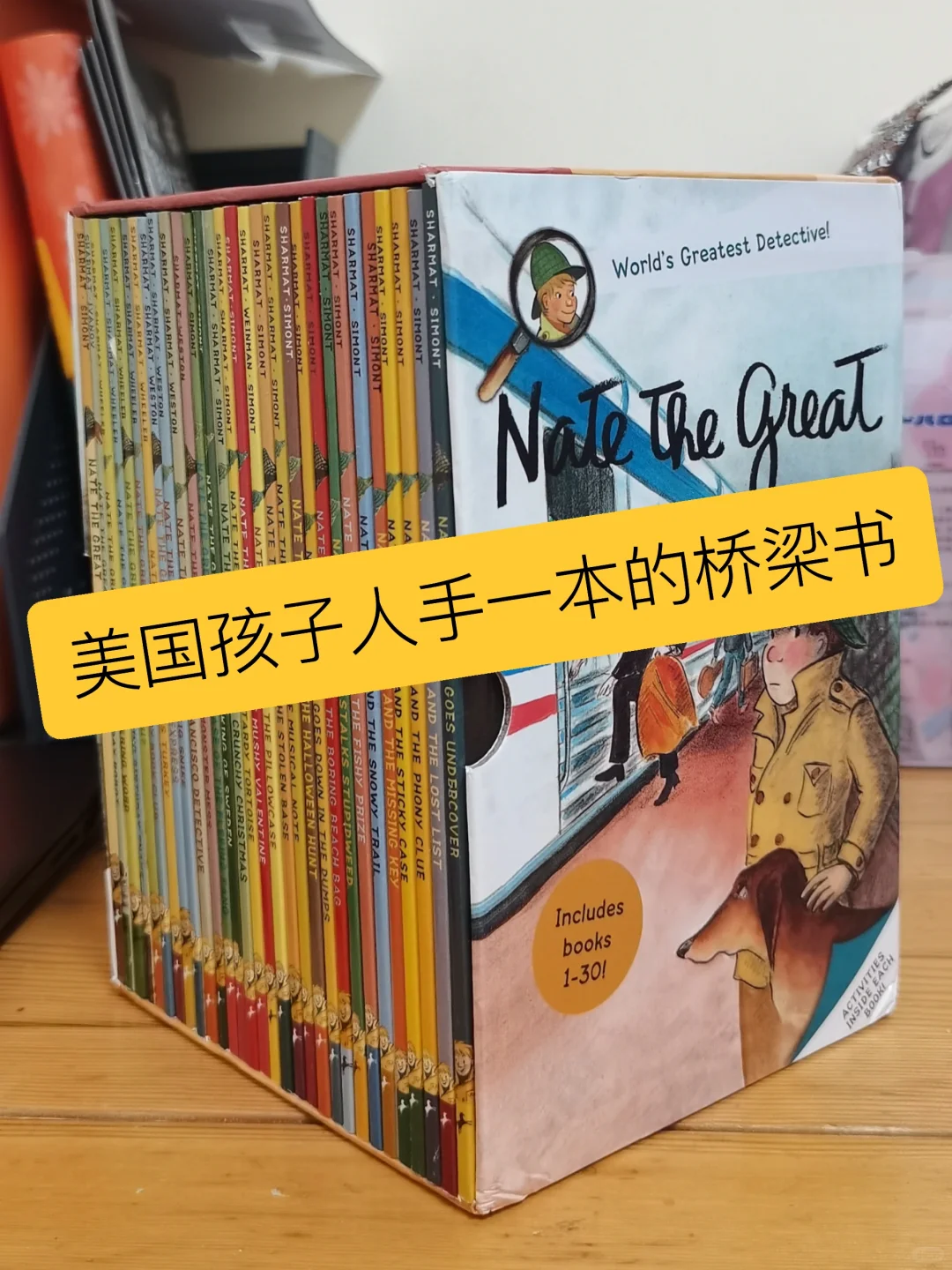 美国学生必读推理小说Nate The Great