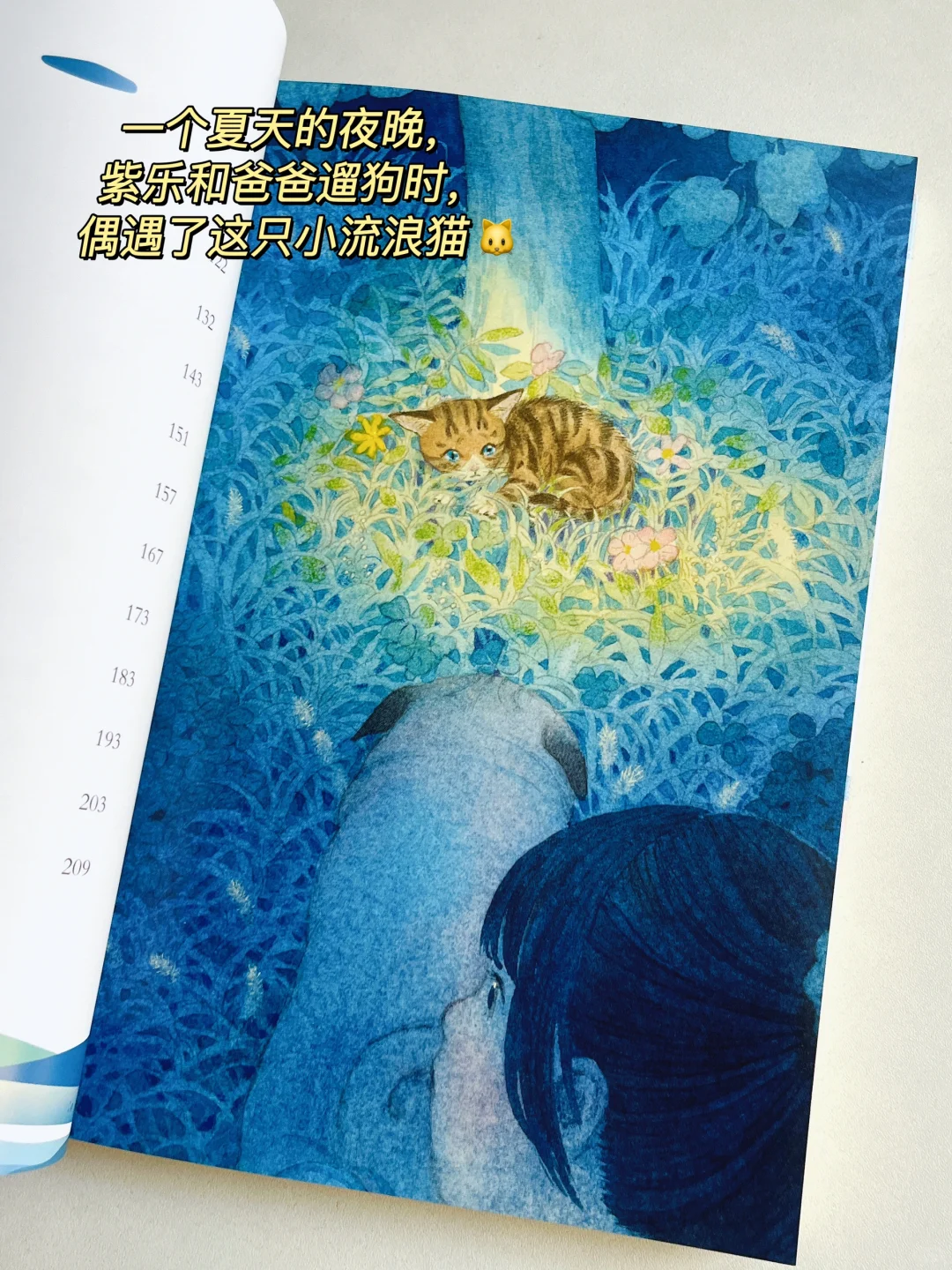 “我相信童话里不都是骗人的～”被狠狠治愈！
