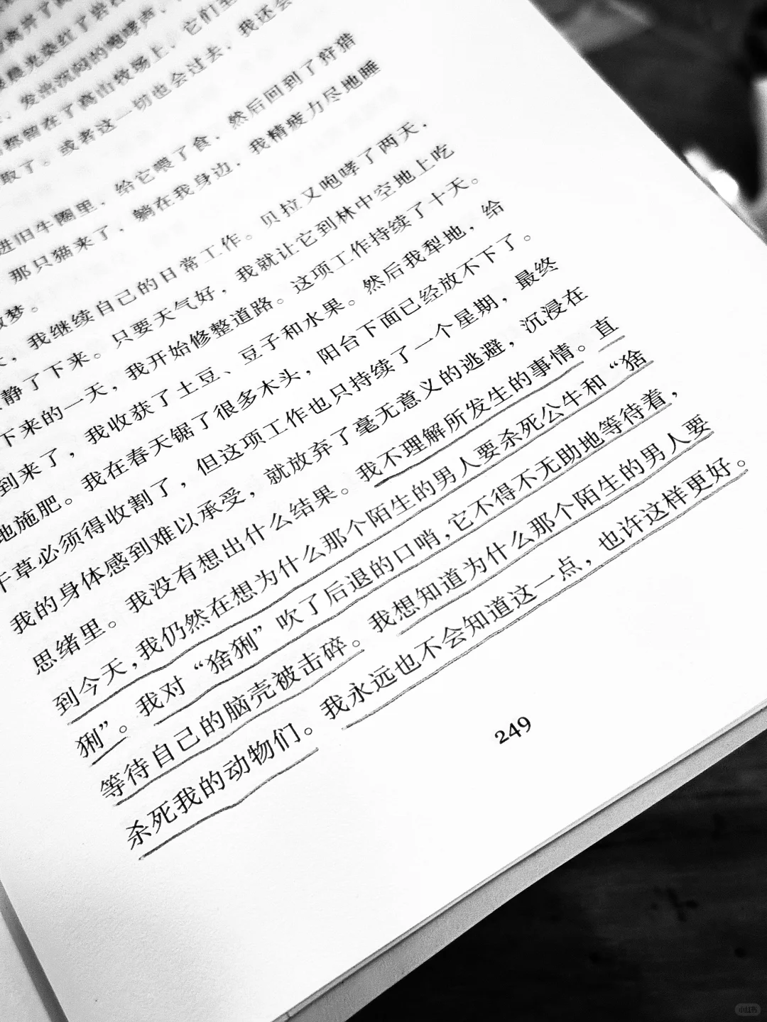 真好看啊，真好看。