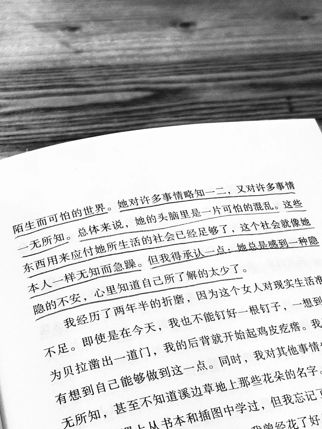 真好看啊，真好看。