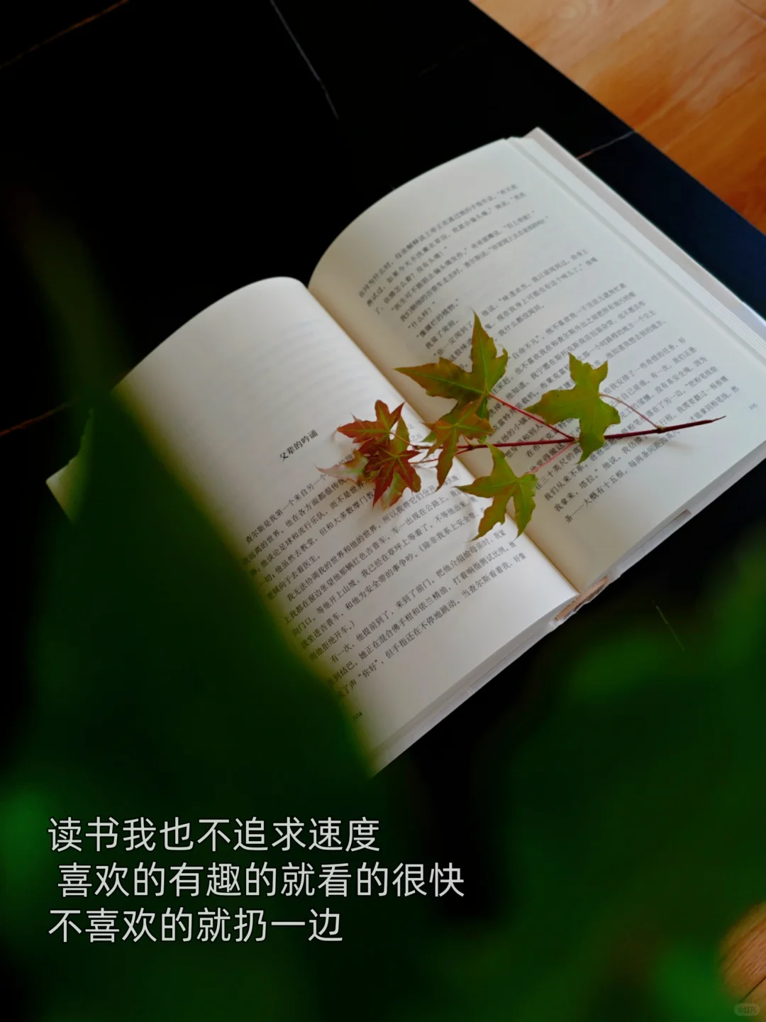你蕞近在看什么书📖