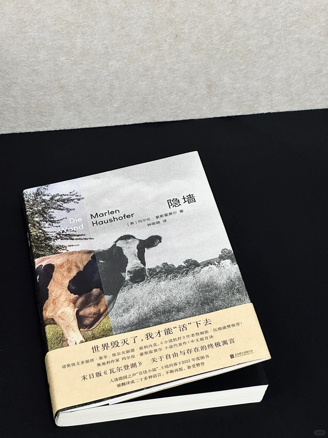 真好看啊，真好看。