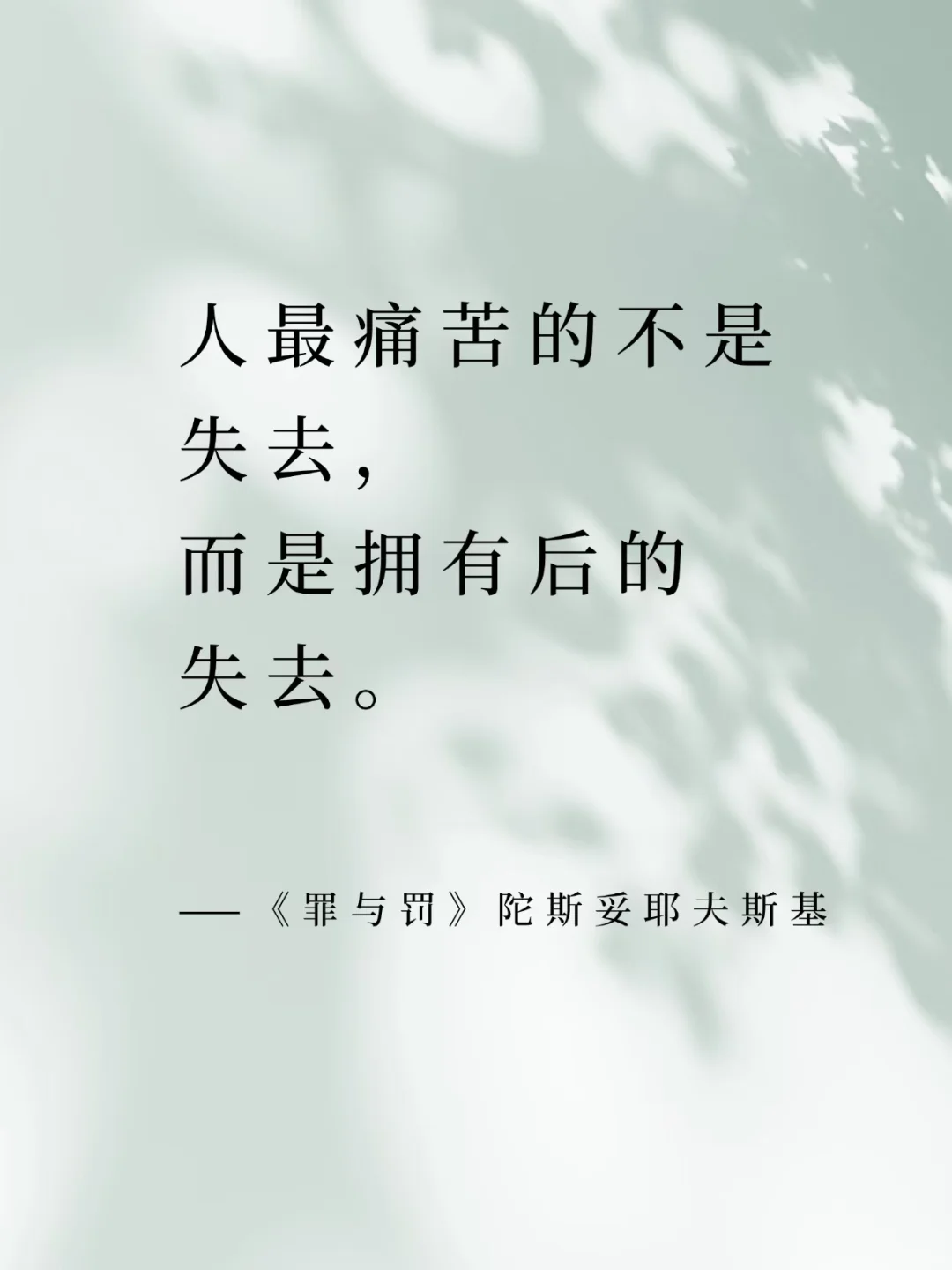 永恒经典：世界名著中的智慧之光