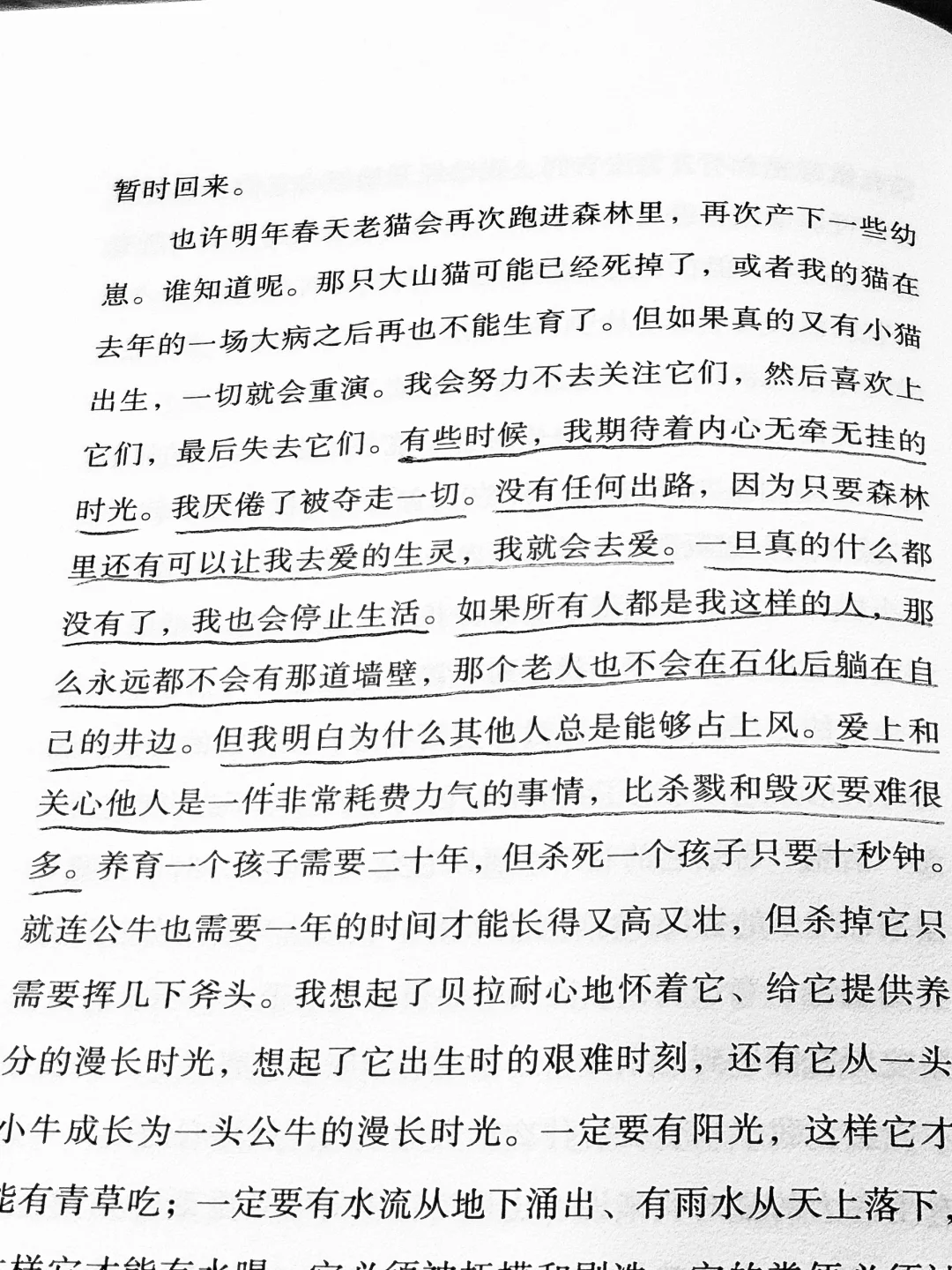 真好看啊，真好看。