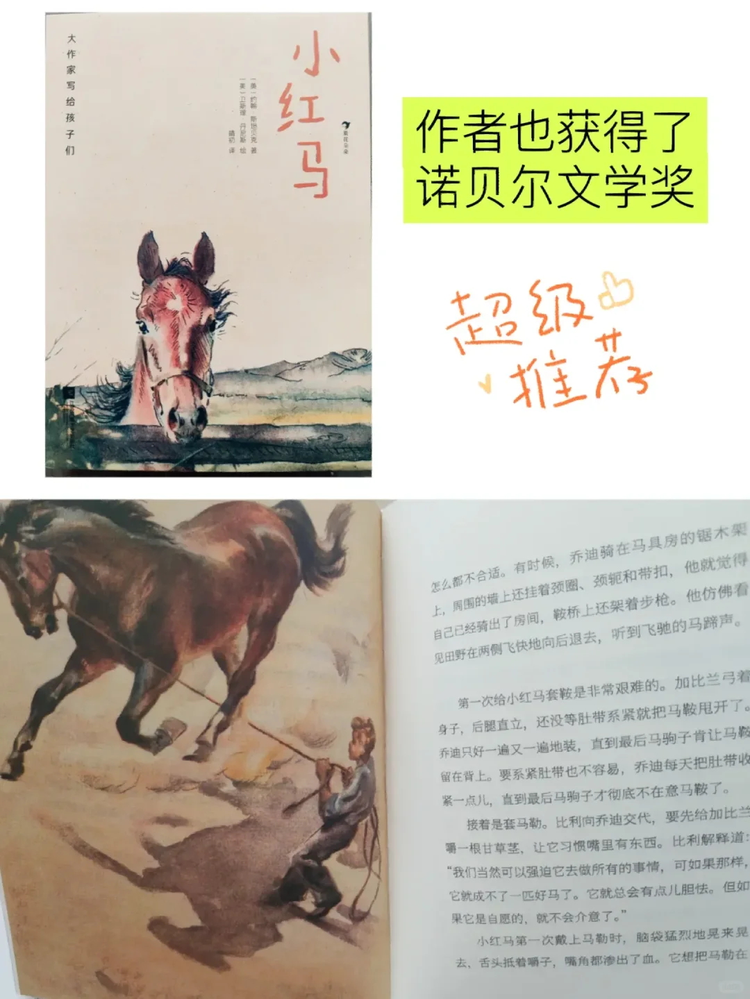 8岁+儿童文学书籍，诺贝尔文学奖不能错过