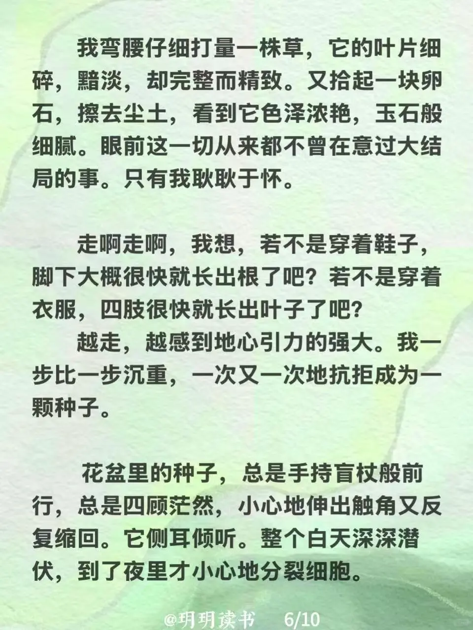 读书｜李娟《大地》
