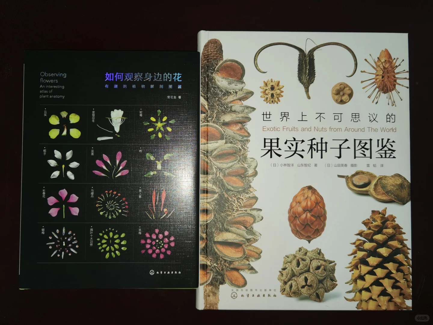 谁来推荐一本关于花花草草的书❓
