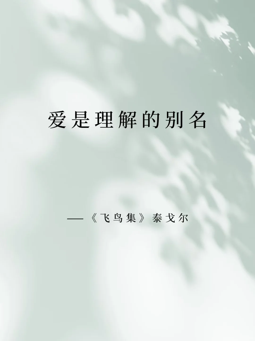 永恒经典：世界名著中的智慧之光