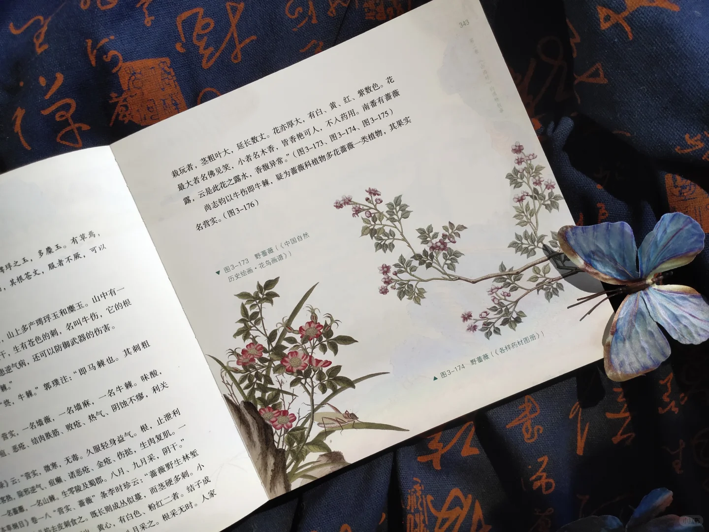 奇幻创作人必看！这本书直接让我脑洞炸裂💥