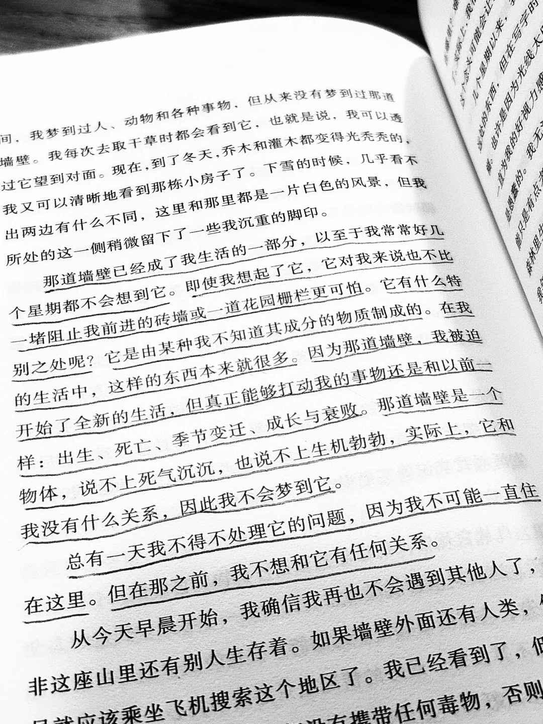 真好看啊，真好看。