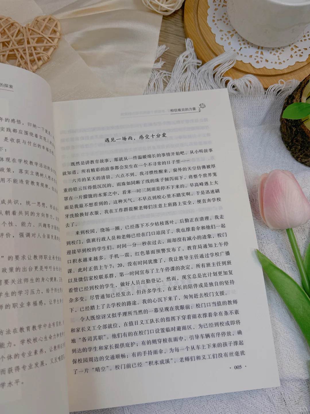【新书推荐】觅得幸福力四叶草