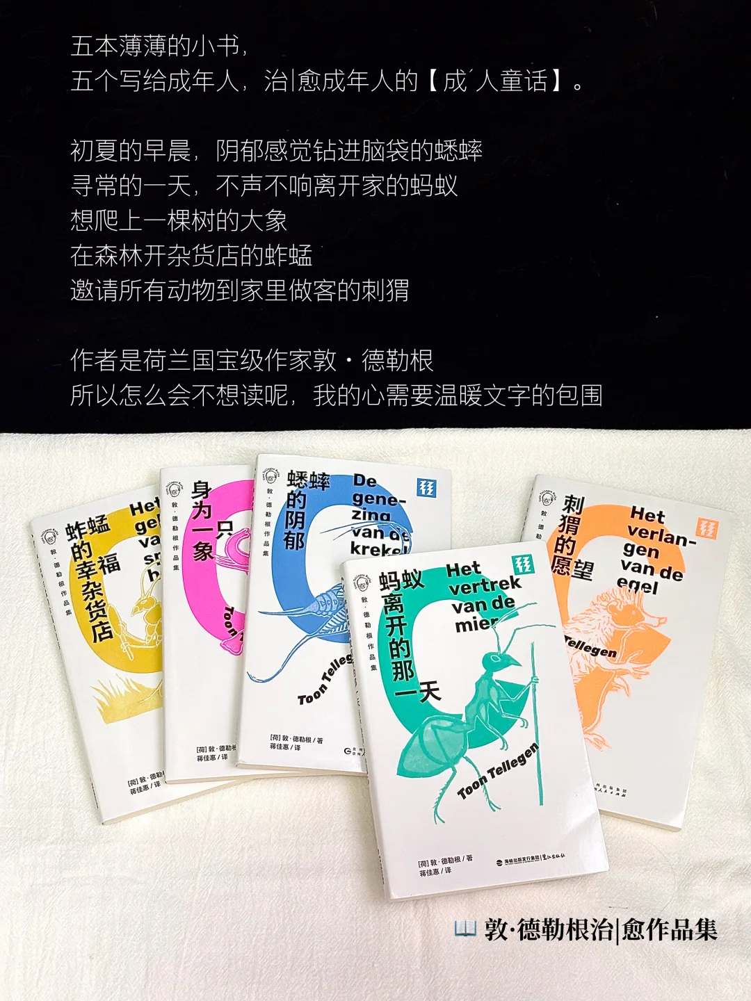 ⤴️一口气拆完27本好书，爆爽新书开箱！！！！
