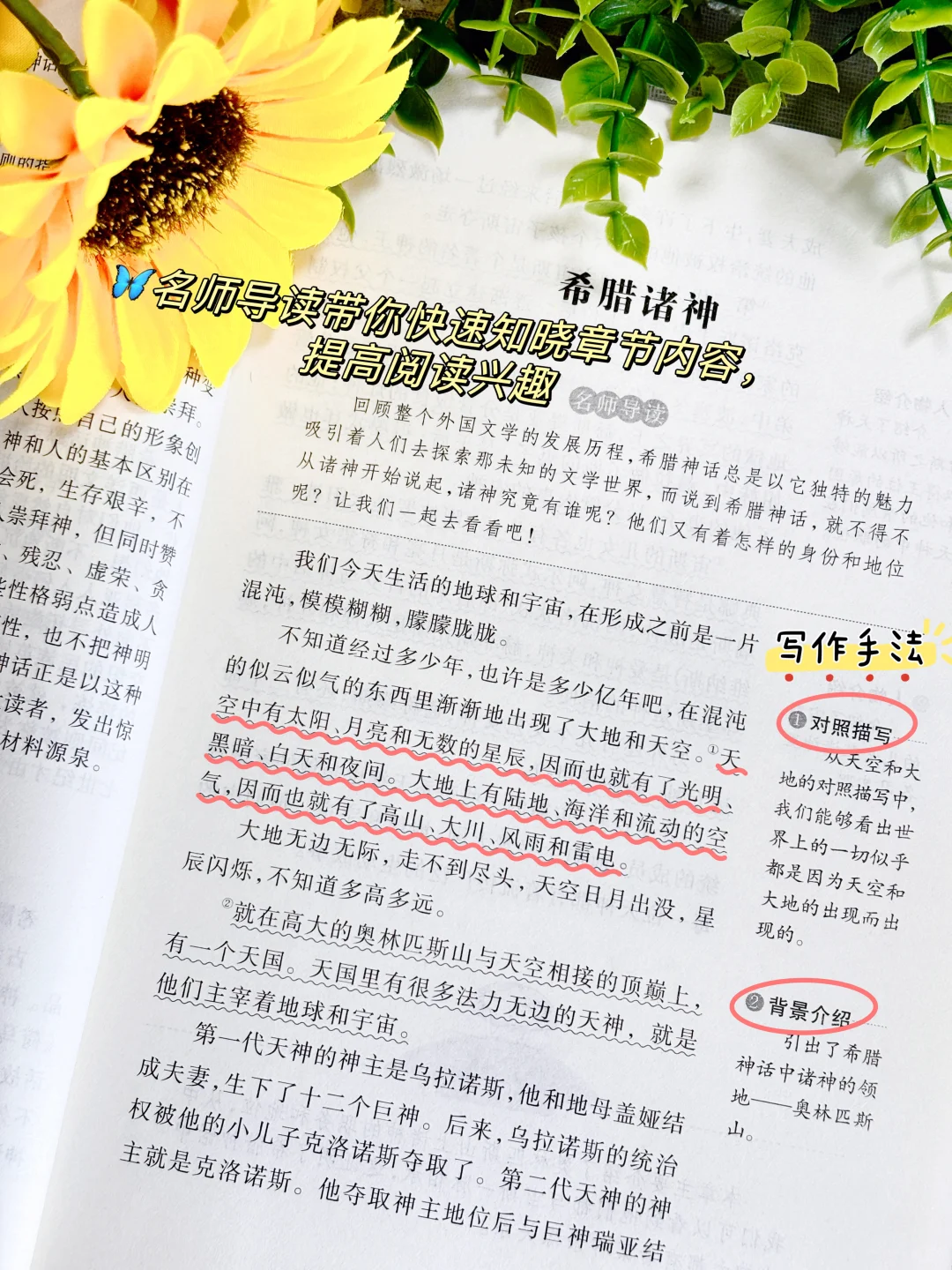 听语文老师的‼️四年级上册指定阅读书