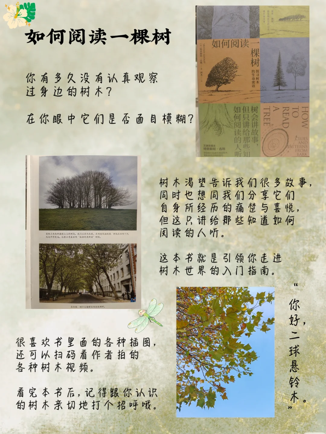1200｜╭☞6月新书推荐