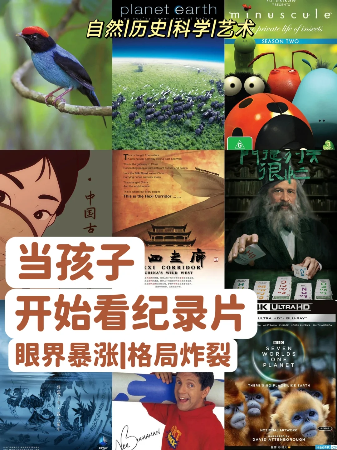 央视力荐🔥|20部儿童必看顶级纪录片