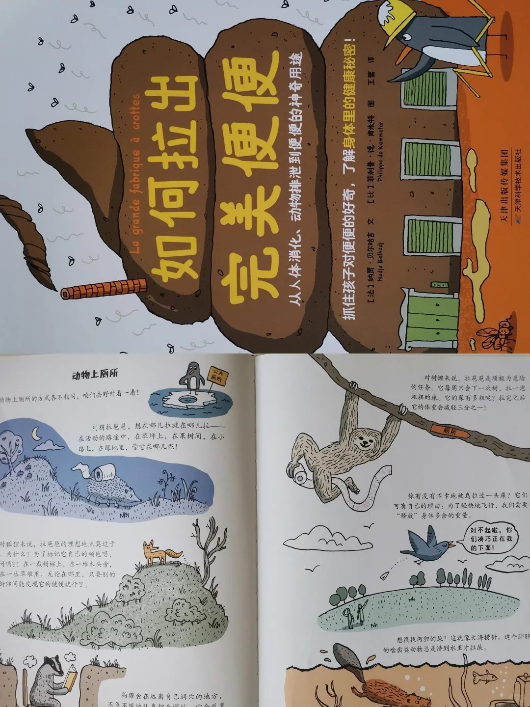 鑫鑫自主阅读过渡期——6岁大班书单分享