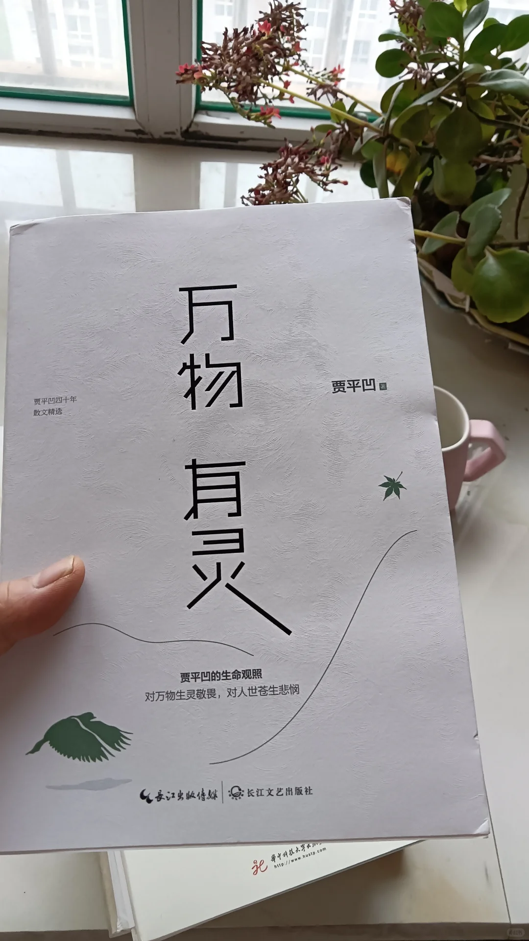 55岁一个人｜我越来越偏爱散文，你呢？