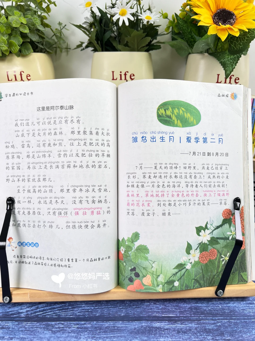 🔥三年级前读完这30本，孩子作文偷着乐❗️