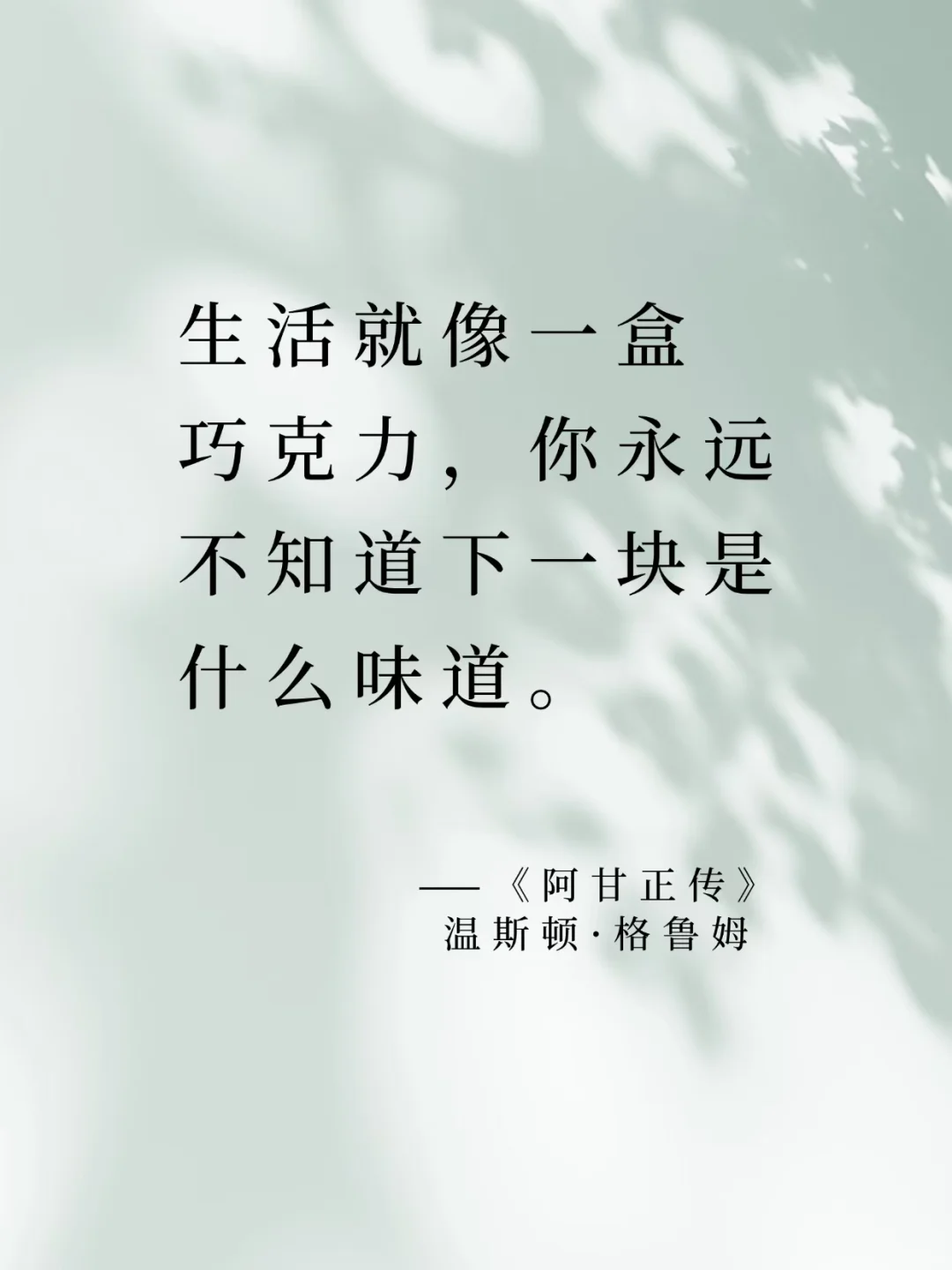 永恒经典：世界名著中的智慧之光