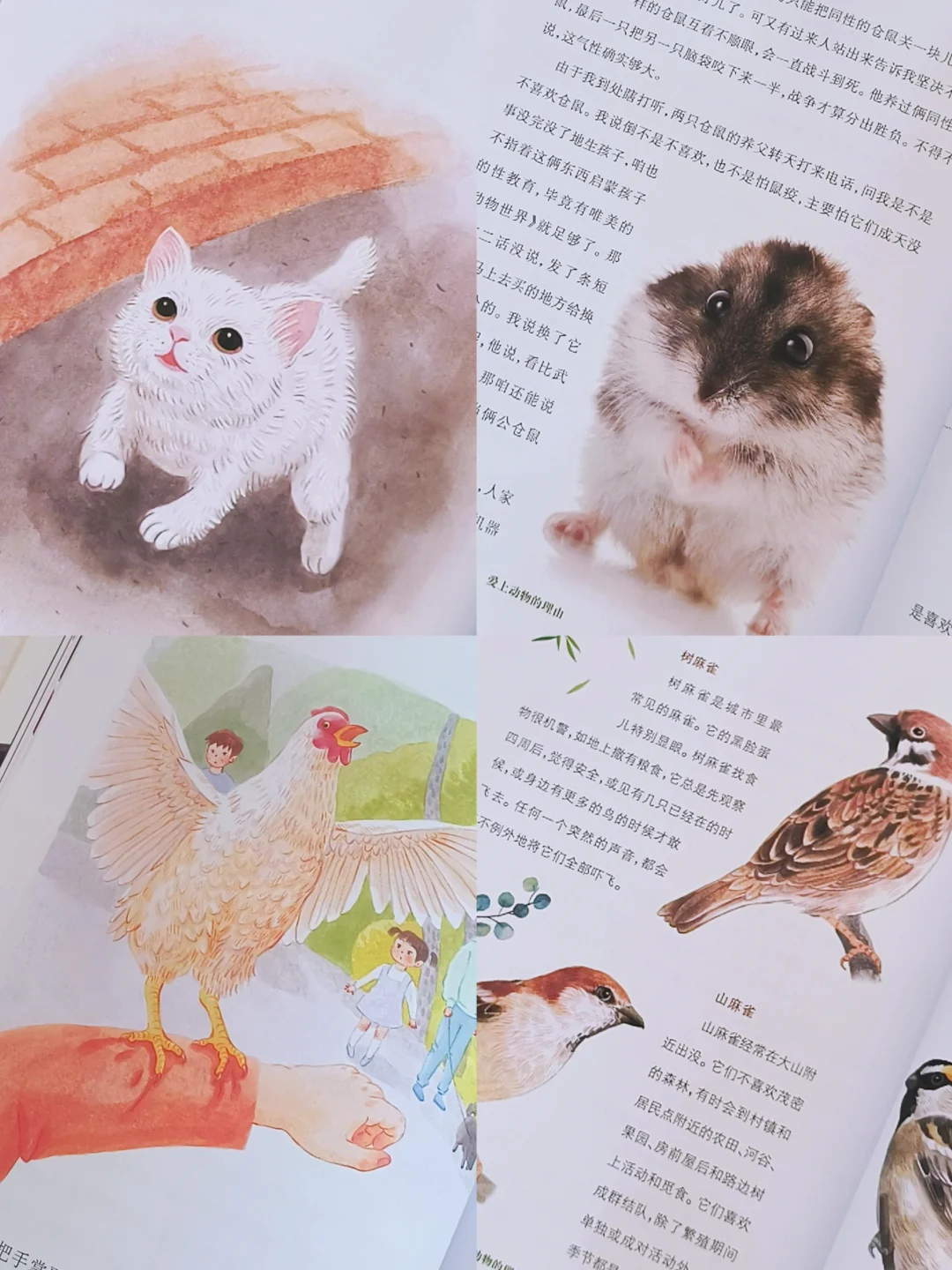 成长书单📚好的儿童文学应该是怎样的？