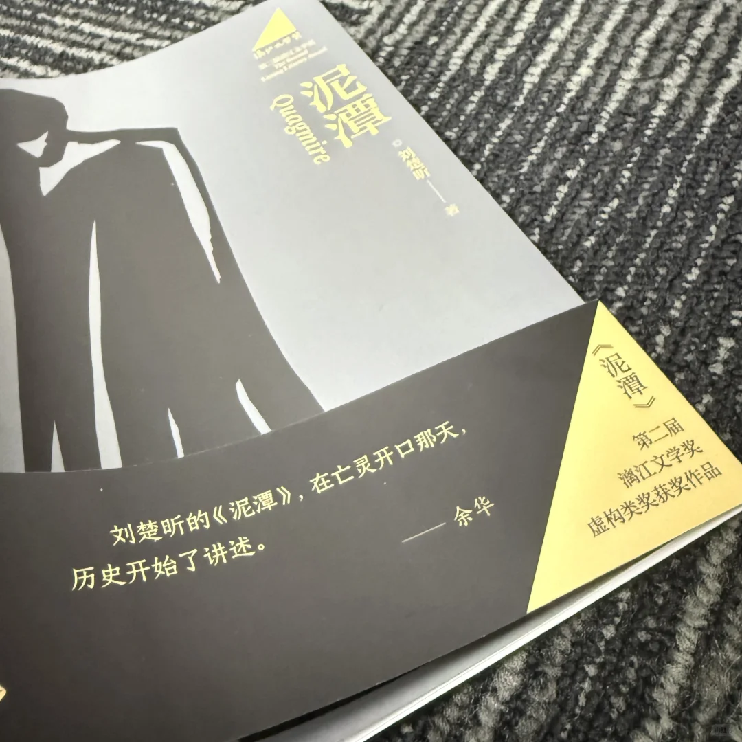 刘楚昕新书《泥潭》已经开启预售