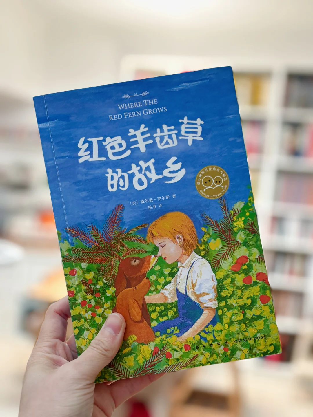 给二三年级精挑细选的儿童文学书单📚